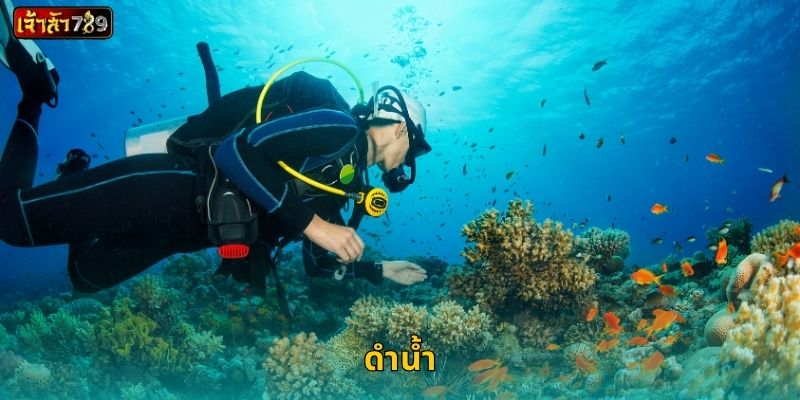 ดำน้ำ ลึกซึ้งแห่งความสงบ – ค้นพบโอกาสใหม่ที่ JAOSUA789