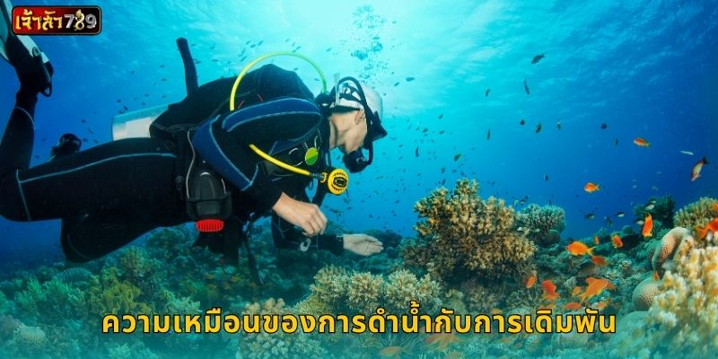 ความเหมือนของการดำน้ำกับการเดิมพัน